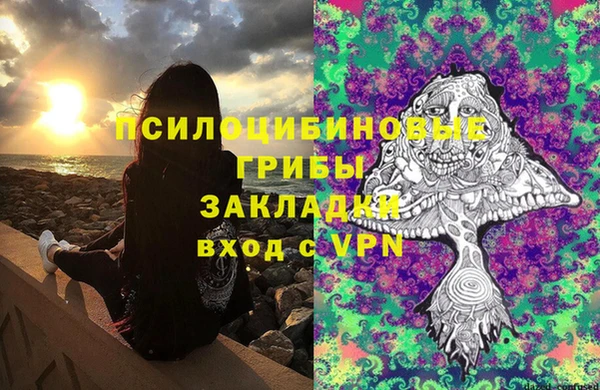 сатива Горнозаводск