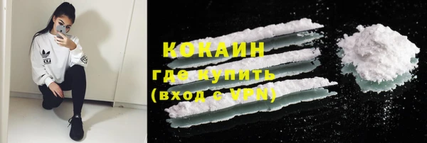 бошки Горняк
