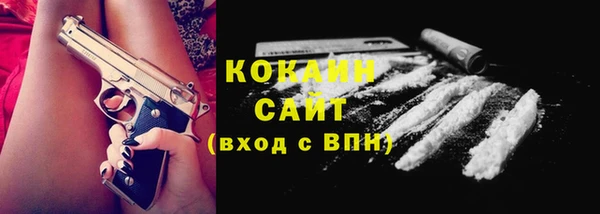 бошки Горняк
