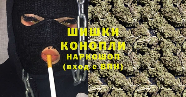 сатива Горнозаводск