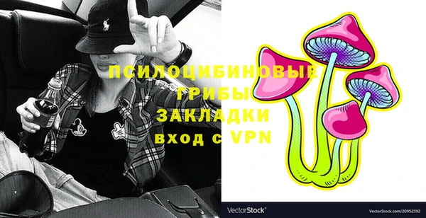 сатива Горнозаводск