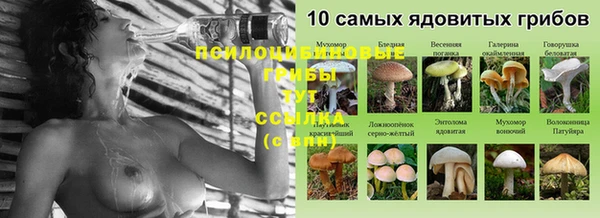 сатива Горнозаводск