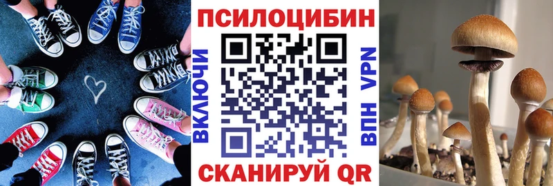 Псилоцибиновые грибы MAGIC MUSHROOMS  Купить закладки  Курлово 